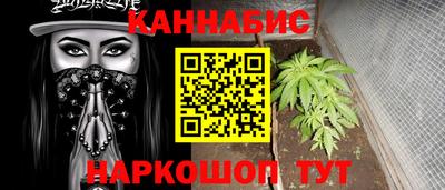 гашик Лесосибирск